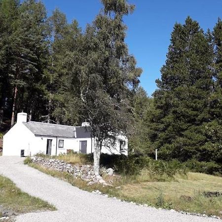 Torgoyle Cottage Inverness Bagian luar foto
